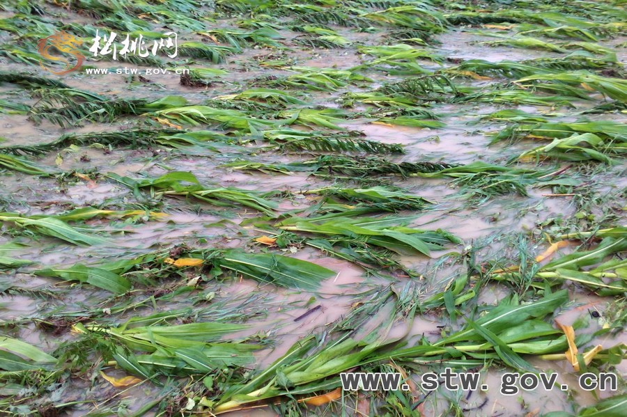特大暴雨襲擊松桃 搶險救災(zāi)爭分奪秒