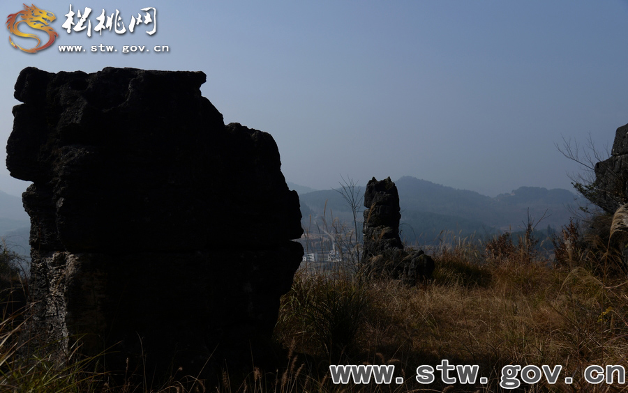 松桃大興鎮(zhèn)發(fā)現大面積石林