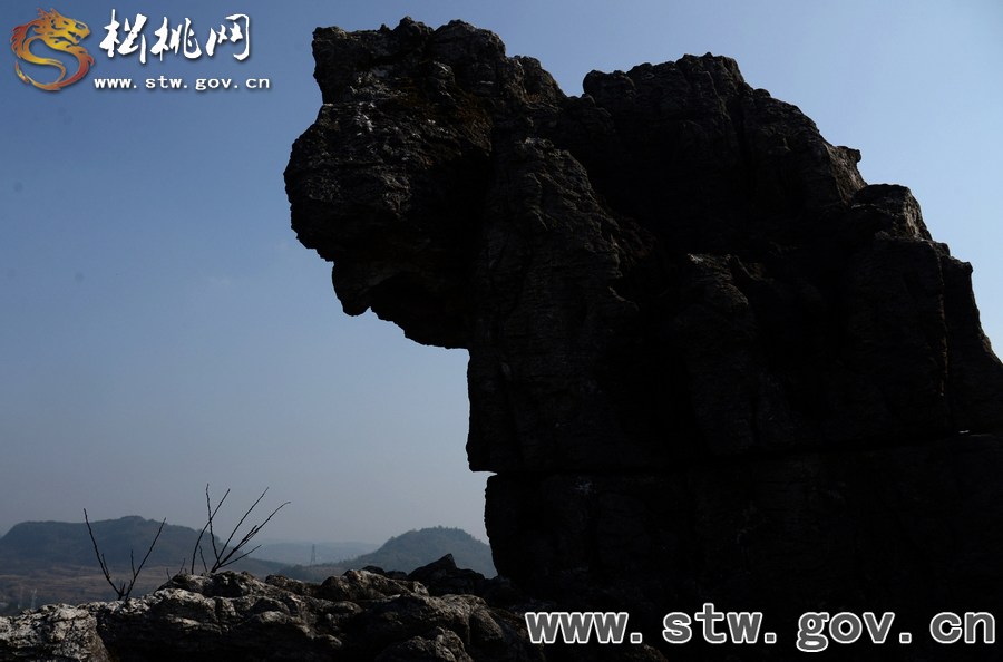 松桃大興鎮(zhèn)發(fā)現(xiàn)大面積石林