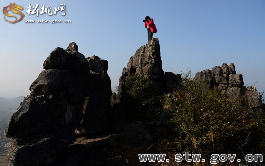 松桃大興鎮(zhèn)發(fā)現(xiàn)大面積石林