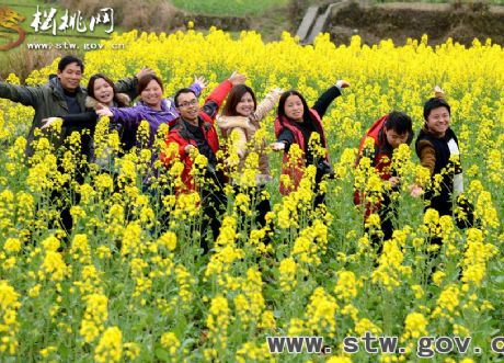 松桃安山萬畝大壩油菜花海醉游客