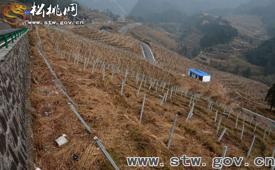 高榜，一個(gè)讓你魂?duì)繅?mèng)繞的地方
