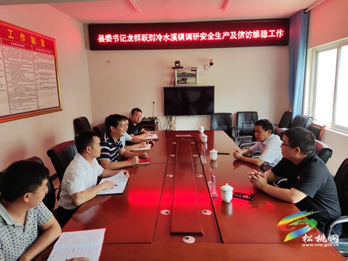 龍群躍到大坪孟溪大路等地調(diào)研安全穩(wěn)定、鄉(xiāng)村振興等工作