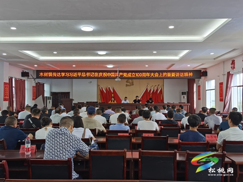 【學(xué)習(xí)習(xí)近平總書記“七一”重要講話精神】 木樹鎮(zhèn)傳達學(xué)習(xí)習(xí)近平總書記在慶祝中國共產(chǎn)黨成立100周年大會上的重要講話精神