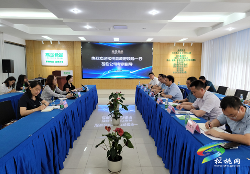 ​龍群躍率團(tuán)赴成都開展招商引資考察