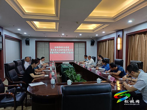 廖東梅帶隊赴重慶梵天生物科技有限公司開展中藥材產(chǎn)業(yè)招商工作