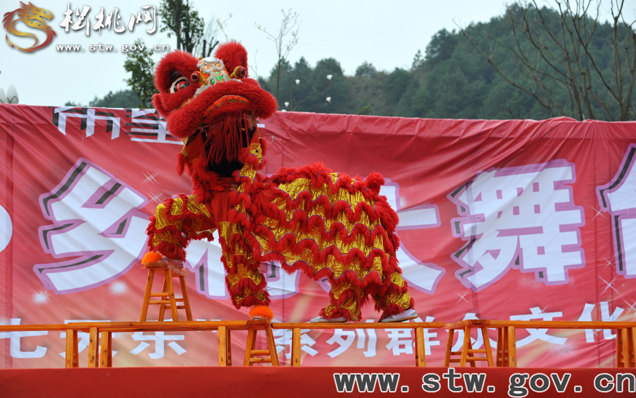 【新春七天樂】苗鄉(xiāng)“民星”閃耀群眾舞臺(tái)