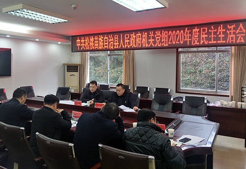 縣人民政府機(jī)關(guān)黨組召開2020年度黨員領(lǐng)導(dǎo)干部民主生活會