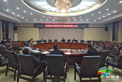 ​【奮斗百年路 啟航新征程】縣政府辦召開黨史學(xué)習(xí)教育動員會