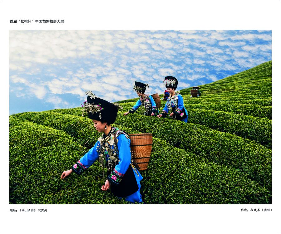 首屆“松桃杯”中國苗族攝影展圖片賞析