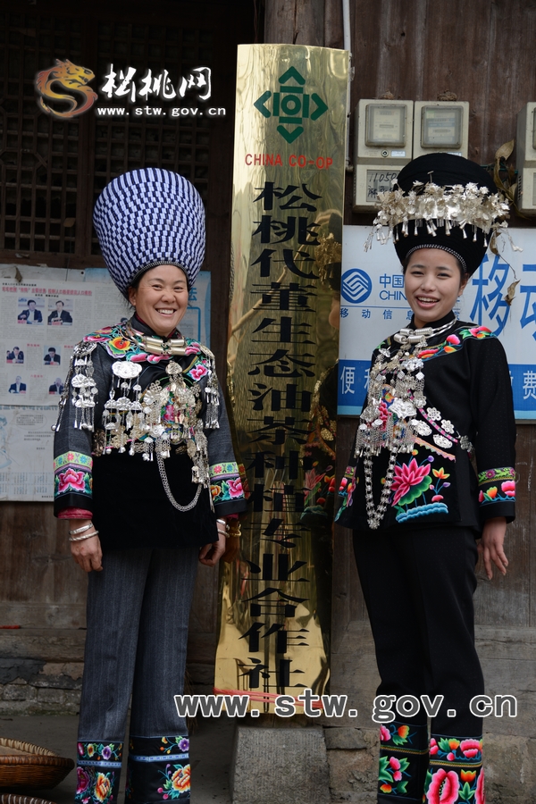 苗家生態(tài)茶油香四方