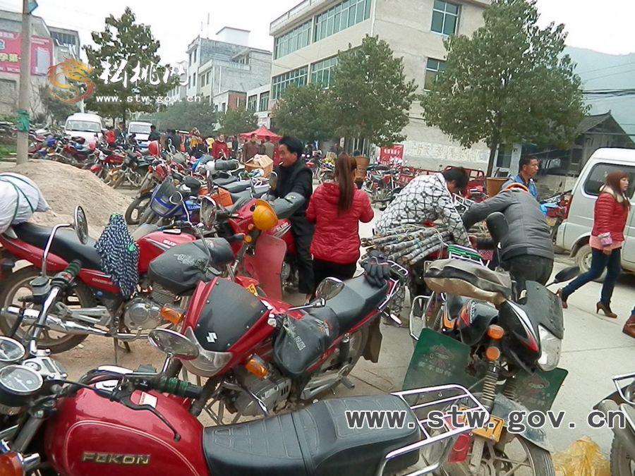 沙壩河鄉(xiāng)春節(jié)前夕集市喜氣祥和