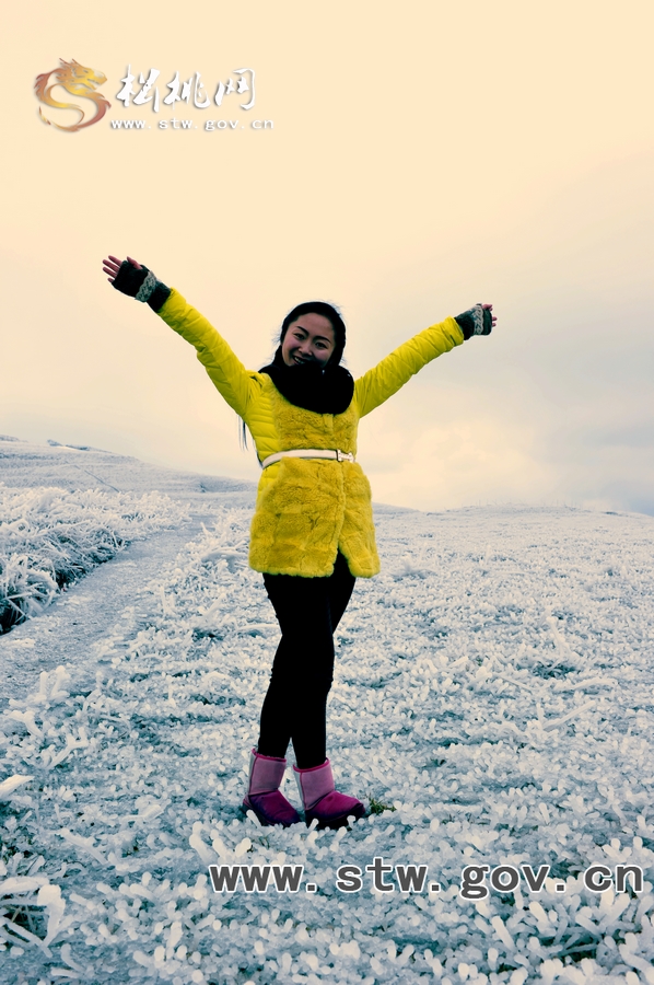 冰雪里的girl