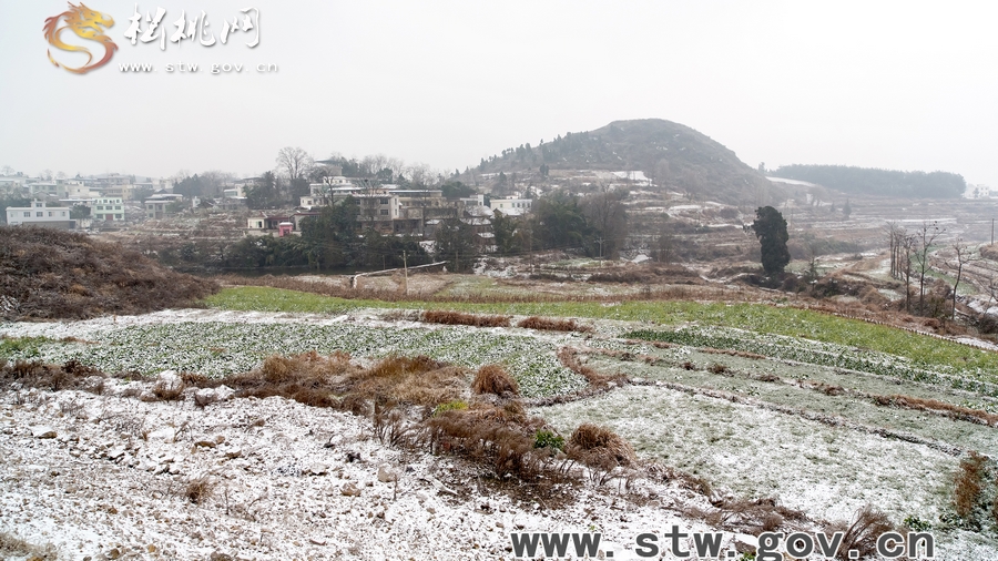 桃源大地冰鋪雪蓋