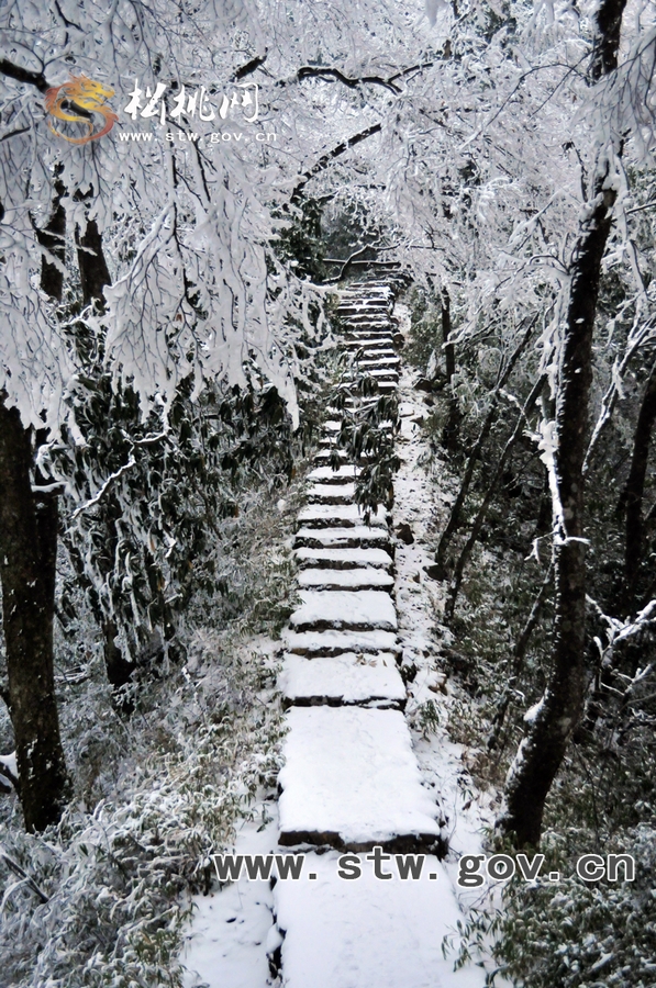 梵凈雪韻