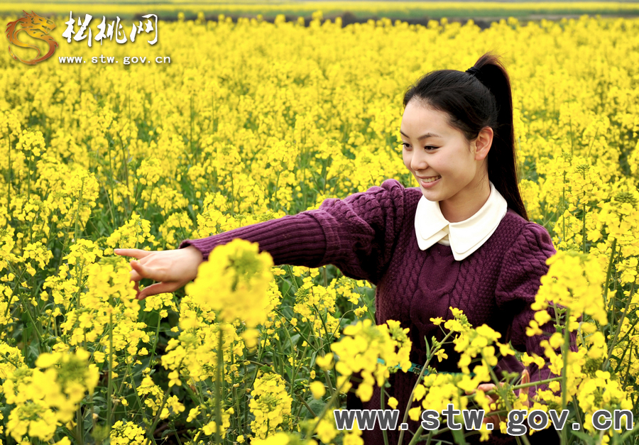 三月花海醉苗鄉(xiāng)