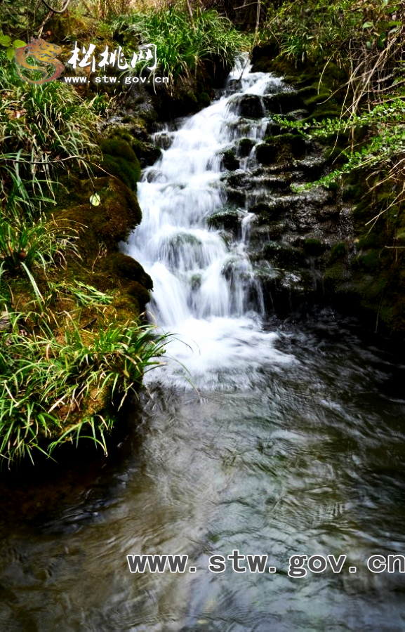 “花鼓藝術(shù)之鄉(xiāng)”踏春行