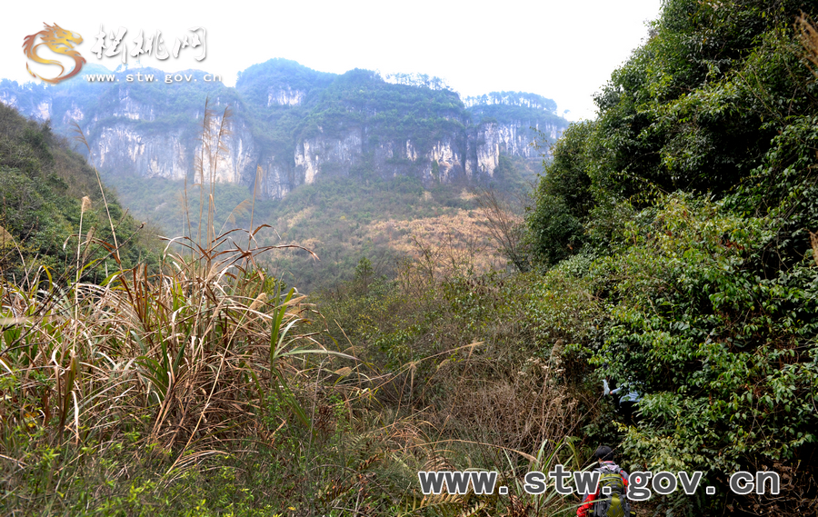 “花鼓藝術(shù)之鄉(xiāng)”踏春行