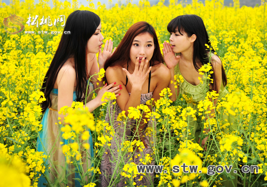 “府城”油菜花人像