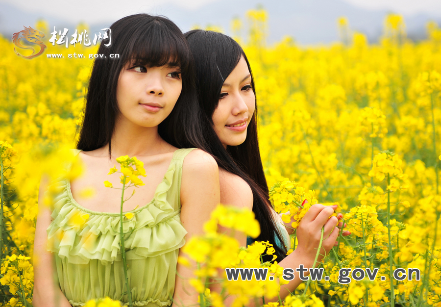 “府城”油菜花人像