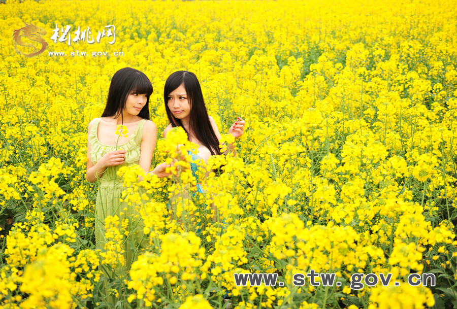 “府城”油菜花人像