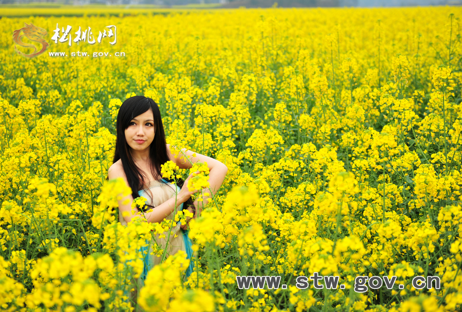 “府城”油菜花人像