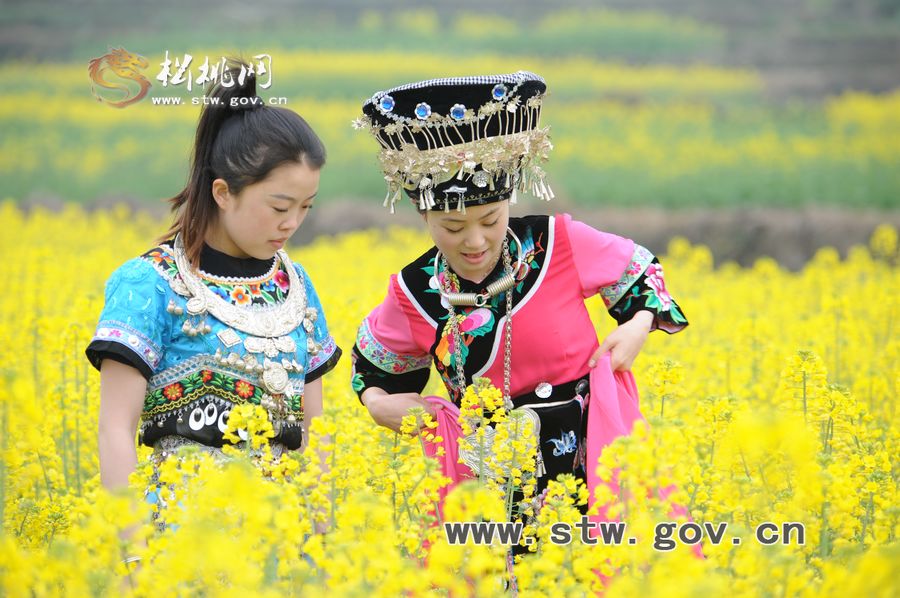 梵凈府城――孟溪，油菜花開了