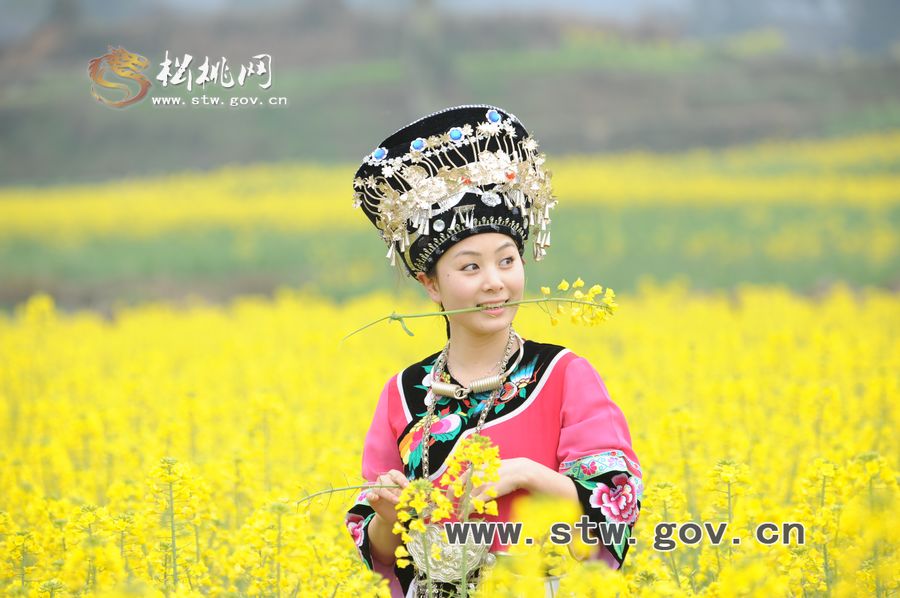 梵凈府城――孟溪，油菜花開了