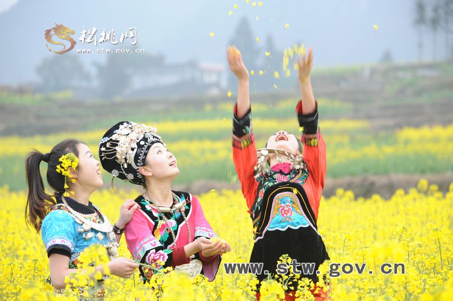 梵凈府城――孟溪，油菜花開了