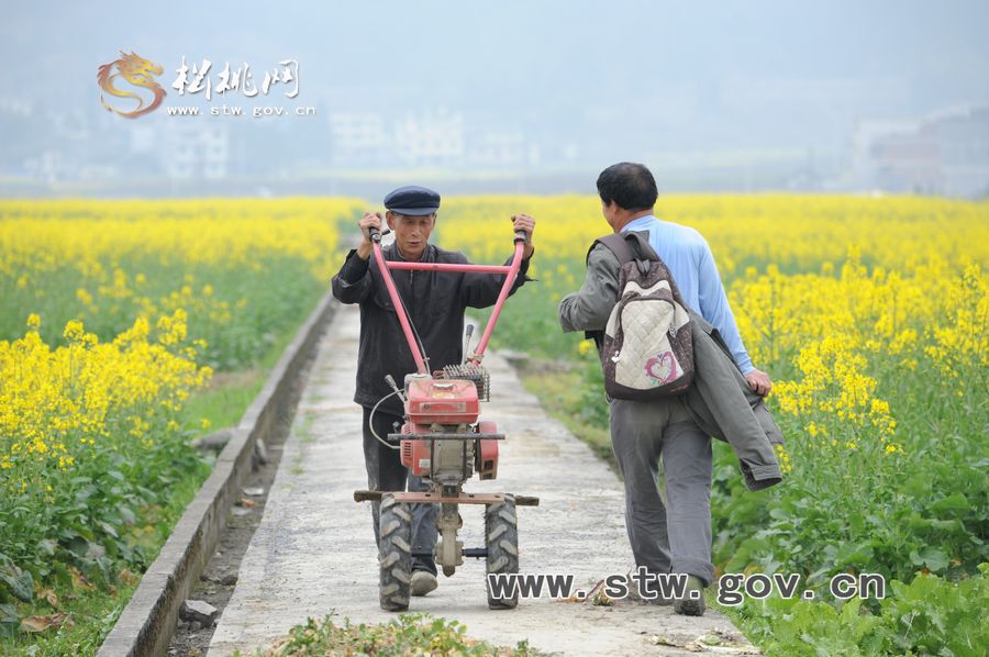 梵凈府城――孟溪，油菜花開(kāi)了
