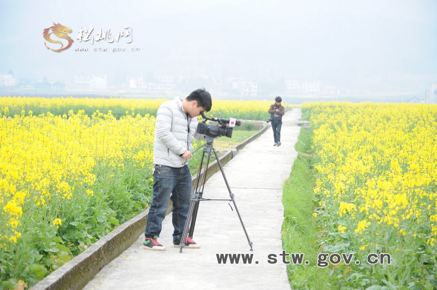 梵凈府城――孟溪，油菜花開了