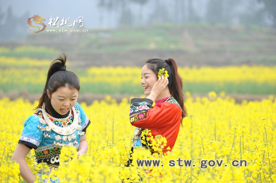 梵凈府城――孟溪，油菜花開(kāi)了