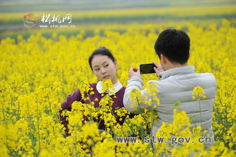 梵凈府城――孟溪，油菜花開了