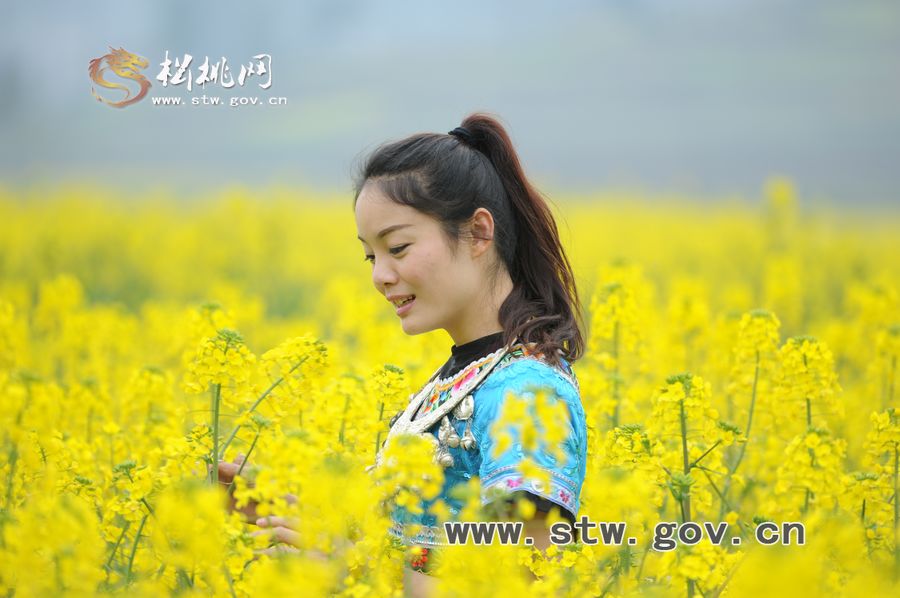 梵凈府城――孟溪，油菜花開了