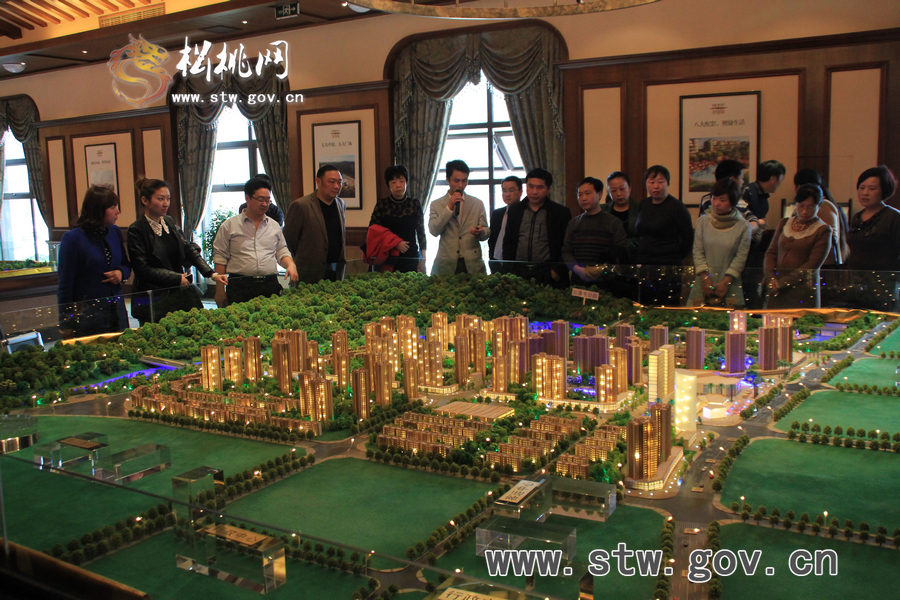 檔案工作會松桃城區(qū)項目建設參觀之行
