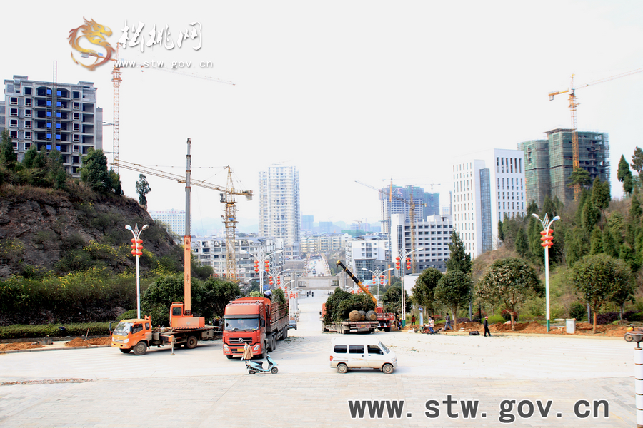 一棵樹的戲——松桃城區(qū)道路白改黑及景觀改造工程紀實
