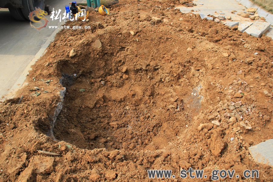 一棵樹的戲——松桃城區(qū)道路白改黑及景觀改造工程紀(jì)實