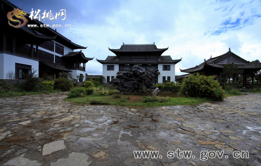 普洱茶園風(fēng)光