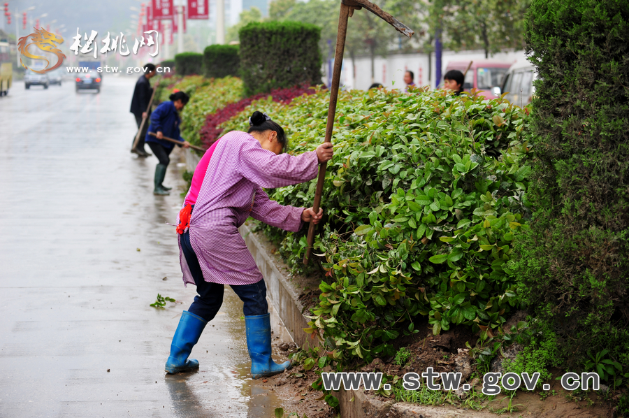 松桃千名干部職工義務(wù)清掃活動花絮