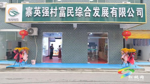 寨英鎮(zhèn)強(qiáng)村富民綜合發(fā)展有限公司揭牌成立
