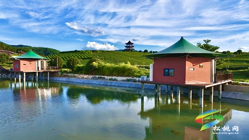 【大美苗鄉(xiāng)新松桃 農(nóng)旅相融】普覺鎮(zhèn)：以“茶”為基 鄉(xiāng)村旅游釋放新活力
