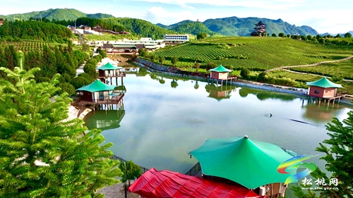 【大美苗鄉(xiāng)新松桃 農(nóng)旅相融】普覺鎮(zhèn)：以“茶”為基 鄉(xiāng)村旅游釋放新活力
