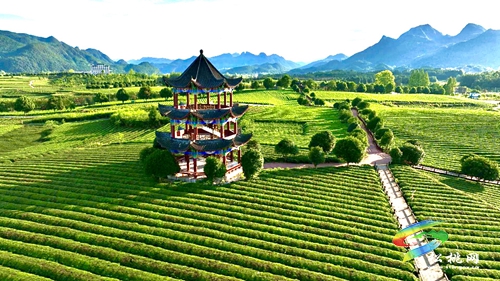 【大美苗鄉(xiāng)新松桃 農(nóng)旅相融】普覺鎮(zhèn)：以“茶”為基 鄉(xiāng)村旅游釋放新活力