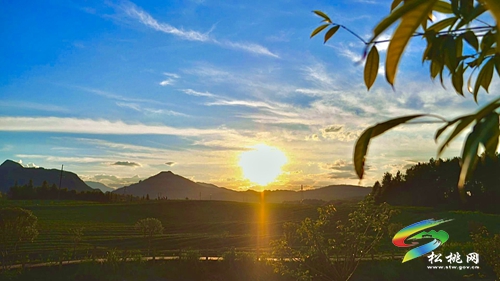 【大美苗鄉(xiāng)新松桃 農(nóng)旅相融】普覺鎮(zhèn)：以“茶”為基 鄉(xiāng)村旅游釋放新活力