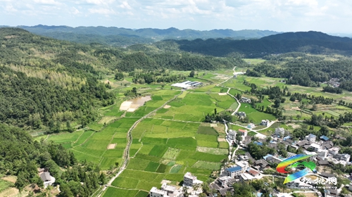松桃：多措并舉抗旱保供水