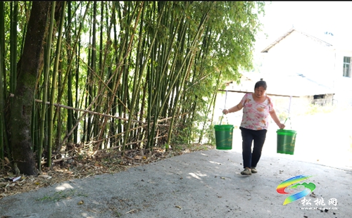 松桃：多措并舉抗旱保供水