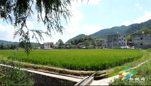 松桃：多措并舉抗旱保供水