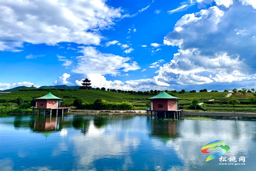 普覺鎮(zhèn)：探索“12345”工作機(jī)制 助推強(qiáng)村富民公司發(fā)展壯大