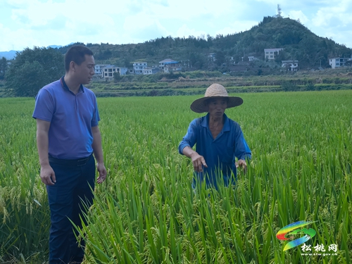 大坪場鎮(zhèn)：多措并舉，凝心聚力抗旱保民生