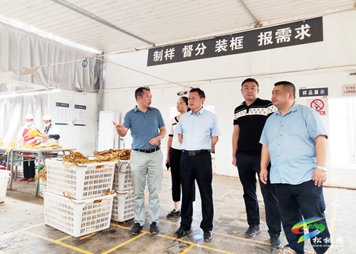 龍群躍到盤信長坪調研產(chǎn)業(yè)發(fā)展疫情防控安全穩(wěn)定工作